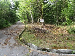 IMG_0183.jpg